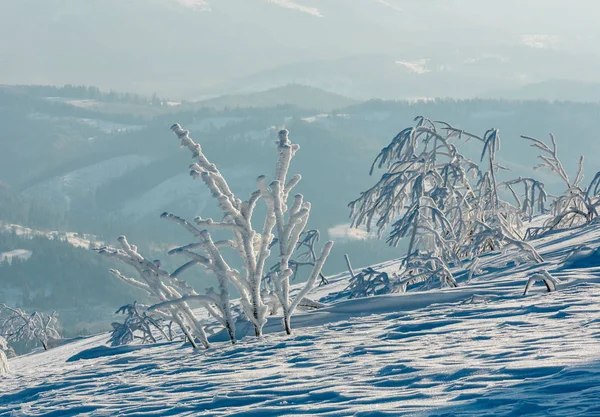 Ochtend Winter Rust Berglandschap Met Mooie Glazuur Bomen Sneeuwlaag Helling — Stockfoto