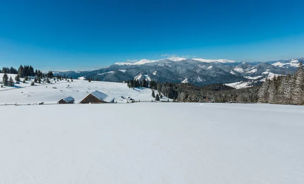 美しい雪の冬 Skupova 山の斜面と高原農場 カルパチア ウクライナ Verkhovyna 地区で唯一の農家 Chornohora 尾根と展望台の後ろに雲の中にピップ イワン — ストック写真