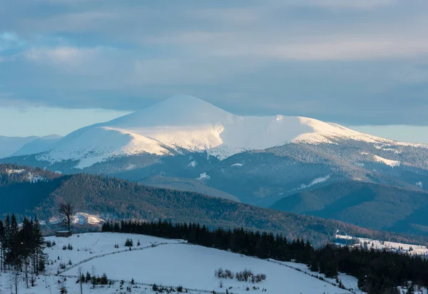 Kvällen Twilight Vintern Molnig Dag Snö Täckta Alp Bergsrygg Ukraina — Stockfoto