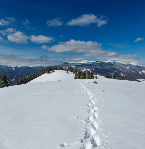 美しい冬山のフット プリントが高山のパスからの眺め Skupova 山の斜面 ウクライナ Chornohora 尾根と Pip イワン山の頂上 カルパチア — ストック写真