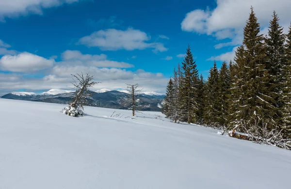 Vue Pittoresque Sur Montagne Hiver Depuis Versant Montagneux Skupova Avec — Photo