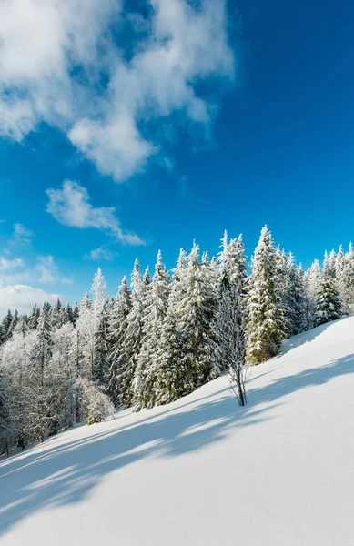 Inverno Paisagem Serena Montanha Com Belas Árvores Geada Nevascas Encosta — Fotografia de Stock