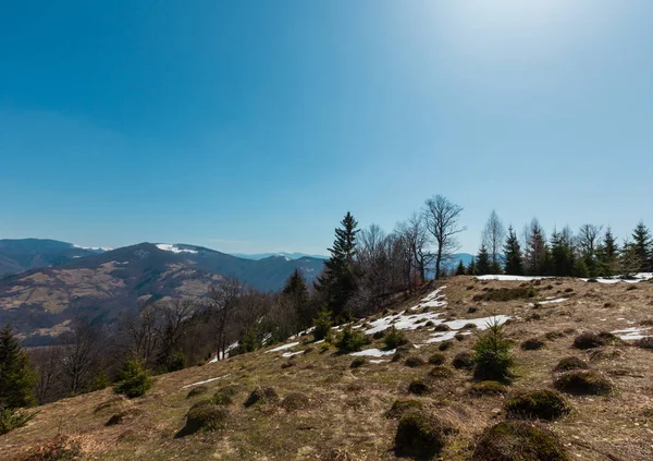 早春カルパティア山脈プラトーで雪に覆われた尾根の風景まで ウクライナ — ストック写真