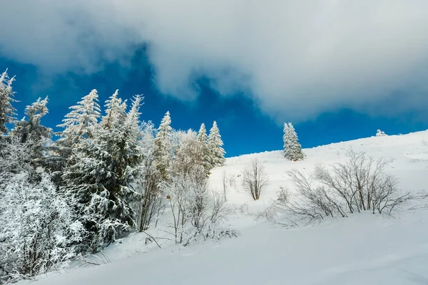 Invierno Tranquilo Paisaje Montaña Con Hermosos Árboles Glaseado Ventisqueros Pendiente —  Fotos de Stock