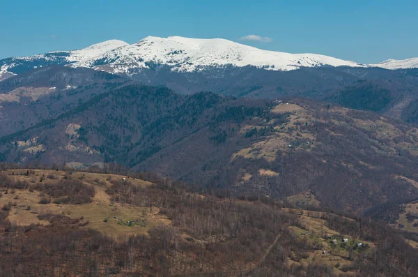 Primavera Cedo Montanhas Cárpatos Paisagem Planalto Com Cumes Cobertos Neve — Fotografia de Stock