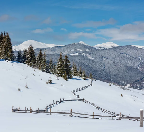 Γραφικό Χειμερινό Βουνό Θέα Από Skupova Πλαγιά Του Βουνού Ουκρανία — Φωτογραφία Αρχείου