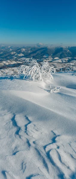 Morgon Vintern Lugn Berglandskap Med Vacker Glasyr Träd Och Snödrivor — Stockfoto