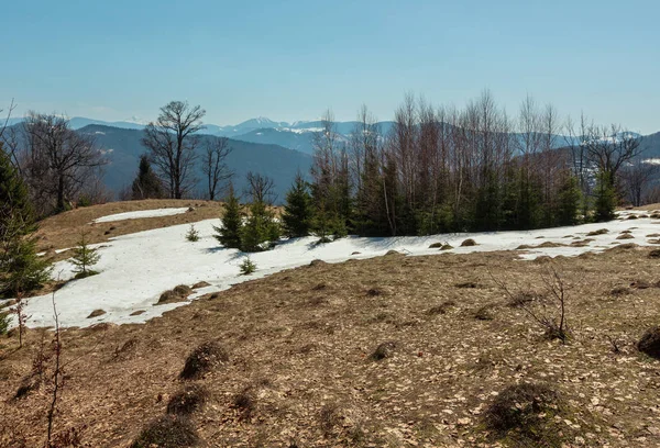 Primavera Cedo Montanhas Cárpatos Paisagem Planalto Com Cumes Cobertos Neve — Fotografia de Stock