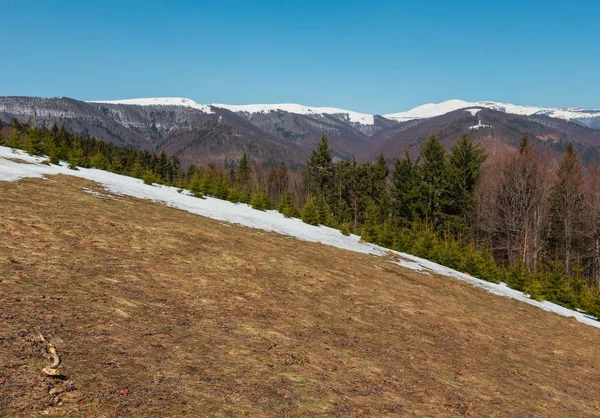 Primavera Cedo Montanhas Cárpatos Paisagem Planalto Com Cumes Cobertos Neve — Fotografia de Stock