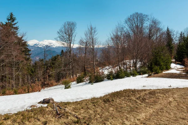 Tidigt Våren Karpaterna Platå Landskap Med Snötäckta Åsen Toppar Långt — Stockfoto