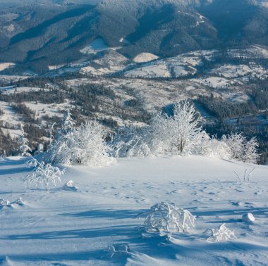 Dağ manzarası güzel süs ağaçları ve snowdrifts yamaç (Karpat Dağları, Ukrayna ile sabah kış sakin)