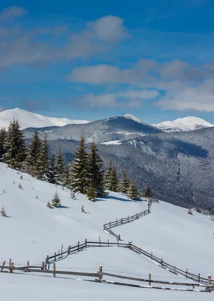 Pittoreska Vinterberg Visa Från Skupova Bergssluttning Ukraina Chornohora Ridge Och — Stockfoto