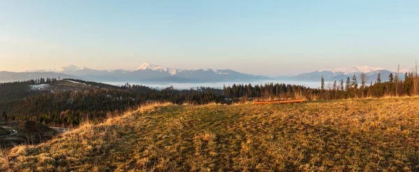 Vroeg Ochtend Voorjaar Karpaten Bergplateau Landschap Met Besneeuwde Bergkammen Ver — Stockfoto