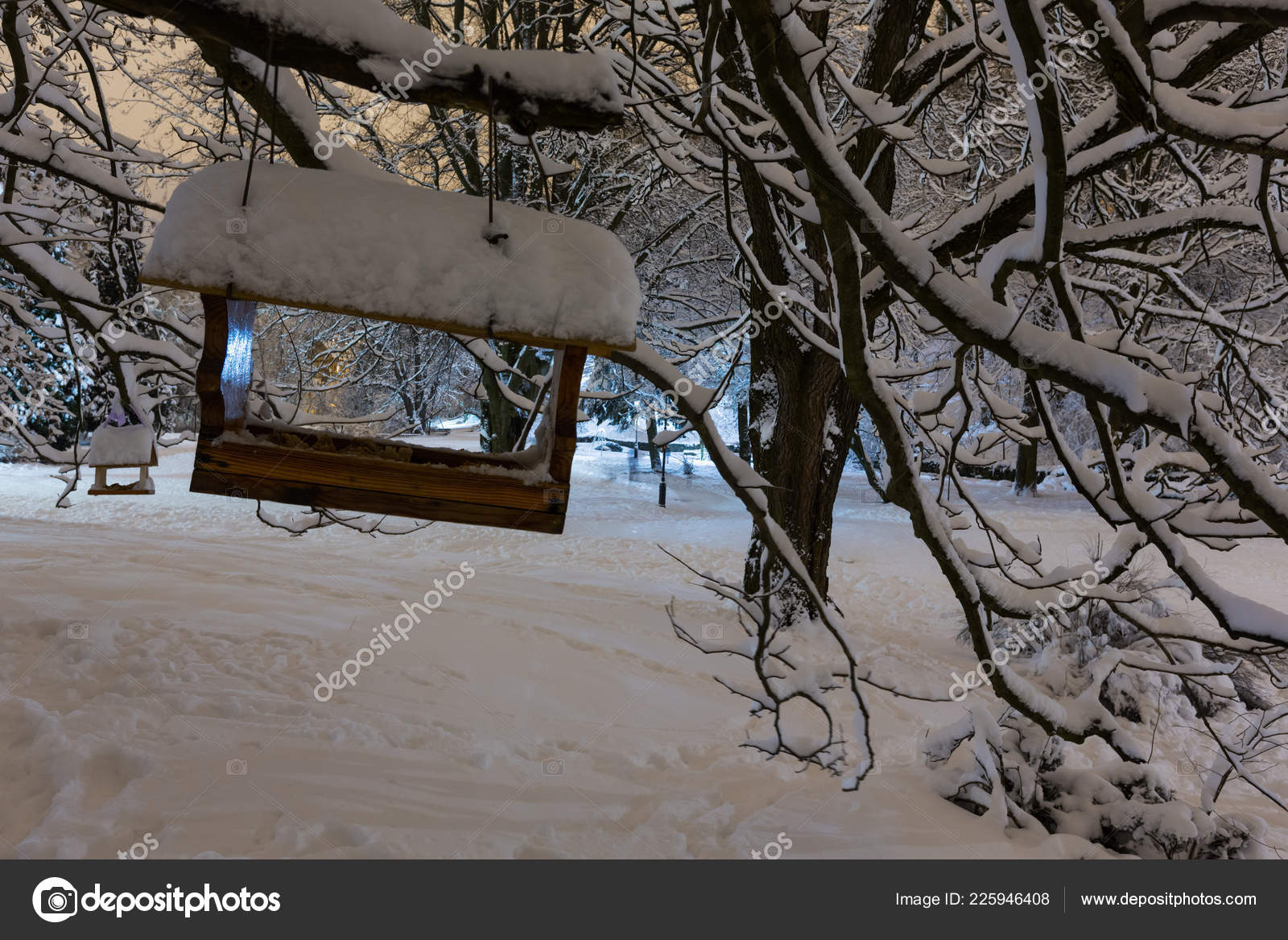 Beautiful Night Winter Stryjskyj Park Center Lviv City Ukraine Snow Royalty Free Photo Stock Image By C Wildman 225946408