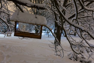 Güzel bir gece kış Stryjskyj park karla kaplı ağaçlar ve kuş raf Lviv merkezi City (Ukrayna).