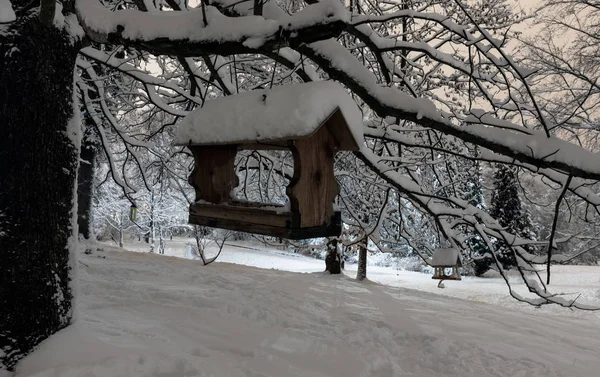 美丽的夜晚冬季 Stryjskyj 公园在利沃夫市中心 乌克兰 与雪覆盖的树木和鸟架 — 图库照片