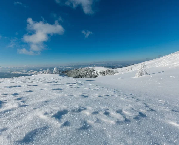 美しい霜の木とふきだまり斜面 カルパティア山脈 ウクライナ 冬の穏やかな山の風景 かなりの深さのフィールドの鋭さと合成画像 — ストック写真