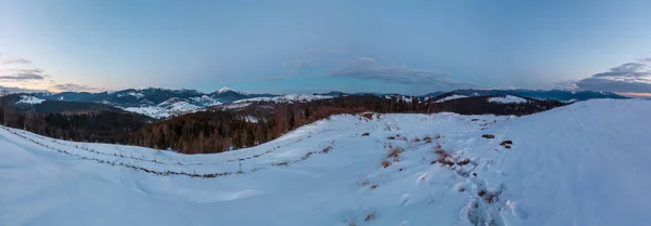 Вечірні Сутінки Взимку Снігу Покриті Alp Горгани Чорногору Свидовець Гірських — стокове фото
