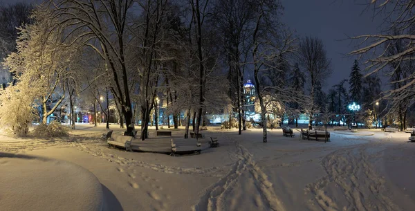 Gyönyörű Éjszaka Téli Park Center Lviv City Ukrajna Havas Fákkal — Stock Fotó