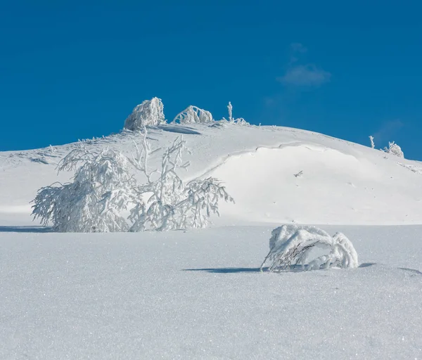 冬季平静的山景观与美丽的结霜树木和雪堆在斜坡 喀尔巴泰山脉 乌克兰 具有相当深度的景实度的复合图像 — 图库照片