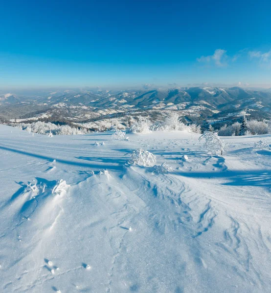 Sabah Kış Dağ Manzarası Güzel Süs Ağaçları Snowdrifts Yamaç Karpat — Stok fotoğraf