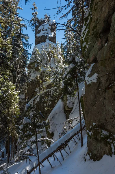 Pokryte Śniegiem Dzień Słoneczny Zimowy View Rock Głaz Kamienisty Lesie — Zdjęcie stockowe