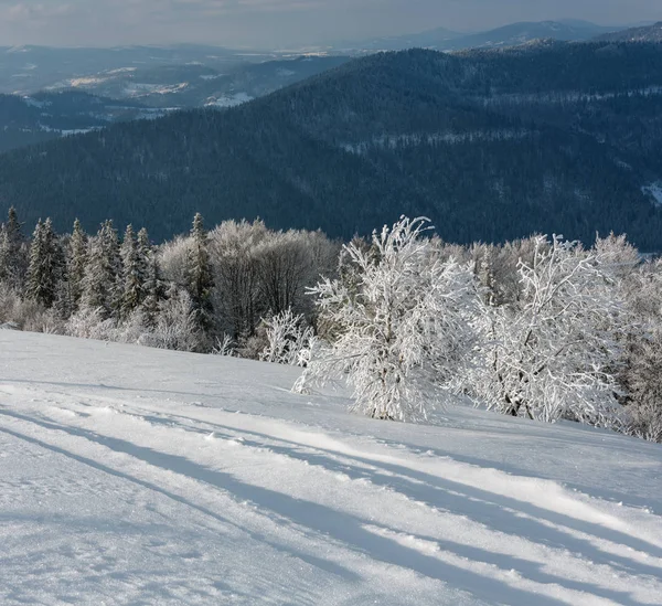 Manhã Paisagem Montanha Inverno Com Belas Árvores Geada Pista Esqui — Fotografia de Stock