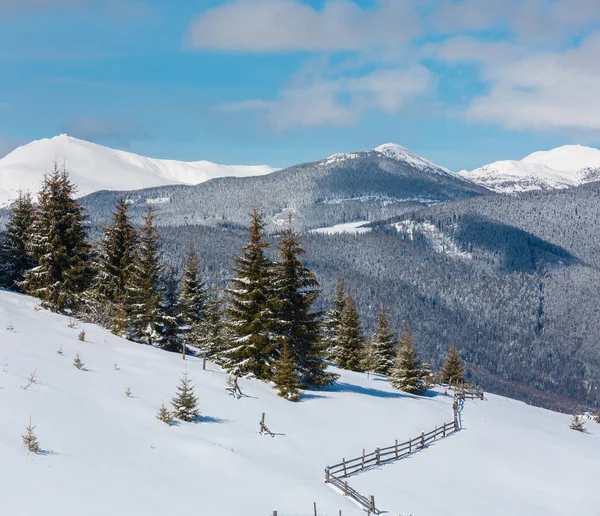 Pittoresca Vista Sulle Montagne Invernali Dal Pendio Skupova Ucraina Vista — Foto Stock