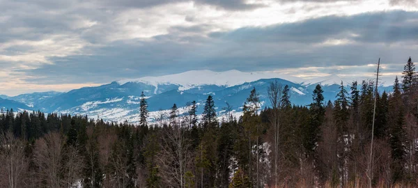 夜ミステリー冬曇りの日雪の覆われた高峰山の尾根 ウクライナ カルパティア山脈 Svydovets Yablunytsia 峠からの風景観 — ストック写真