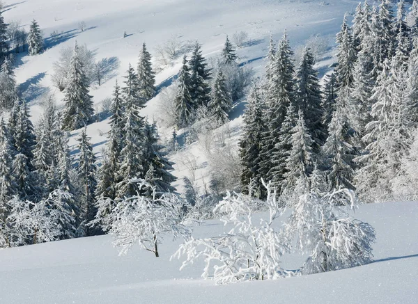 Winter Rustige Berglandschap Met Mooie Glazuur Bomen Sneeuwlaag Helling Karpaten — Stockfoto