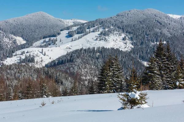 Pintoresco Invierno Día Soleado Cárpatos Vista Montaña Desde Pendiente Montaña —  Fotos de Stock