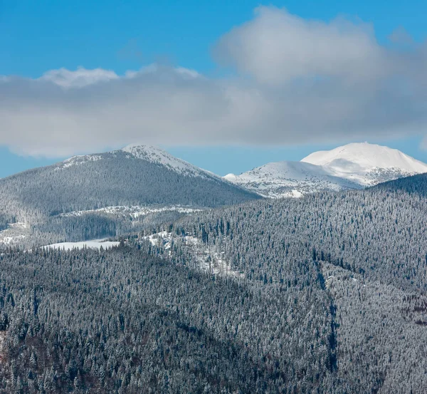 Pittoresca Vista Sulle Montagne Invernali Dal Pendio Skupova Ucraina Vista — Foto Stock