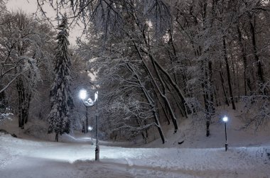 Güzel bir gece kış Stryjskyj park karla kaplı ağaçlar ile Lviv merkezi City (Ukrayna).