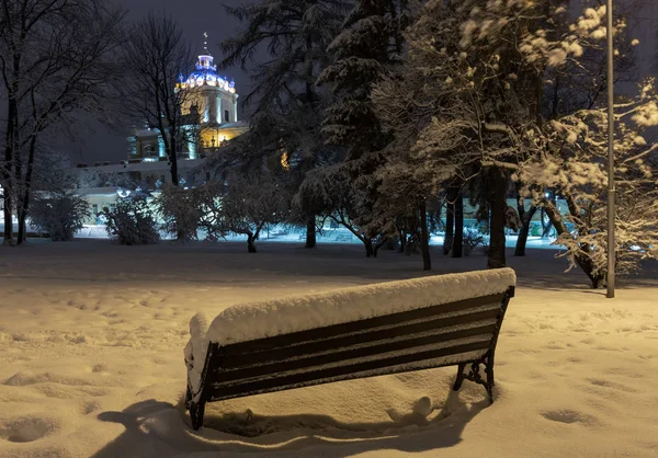 Gyönyörű Éjszaka Téli Park Center Lviv City Ukrajna Havas Fákkal — Stock Fotó