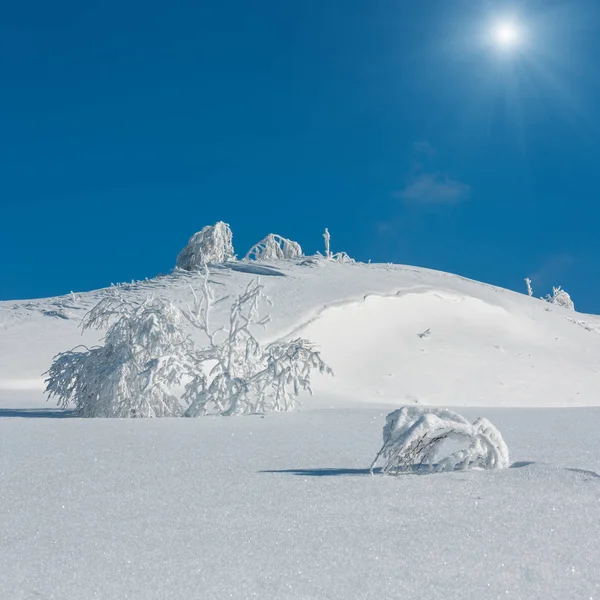 冬季平静阳光明媚的山景观与美丽的结霜树木和雪堆的斜坡 喀尔巴泰山脉 乌克兰 具有相当深度的景实度的复合图像 — 图库照片