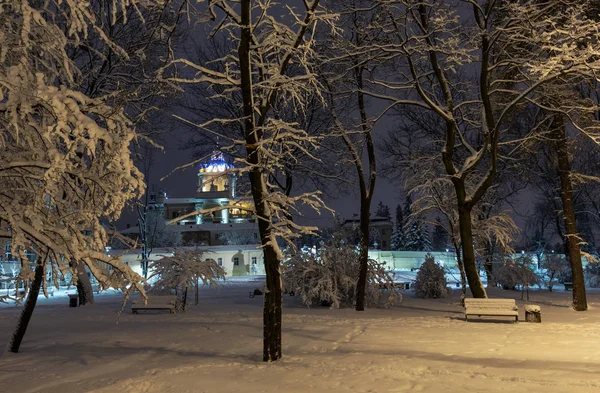 リヴィウの中心市 ウクライナ の雪に覆われた木とベンチで美しい夜冬の公園 聖ジョージ大聖堂の教会まで — ストック写真