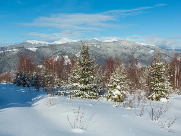 Γραφικό Χειμώνα Πρωί Βουνά Θέα Από Νεαρό Δάσος Από Έλατα — Φωτογραφία Αρχείου