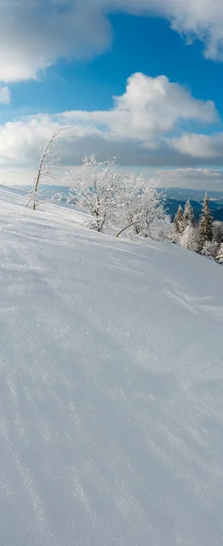 Téli Nyugodt Hegyi Táj Gyönyörű Fagyosan Fák Snowdrifts Lejtőn Kárpátok — Stock Fotó