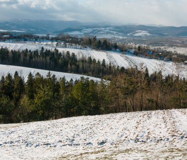 Kış dağ manzarası ile alanı tepenin yamacında, huş ağacı grove ve köyde uzak (Bogorodchany bölgesi, Ivano-Frankivsk region, Ukrayna)