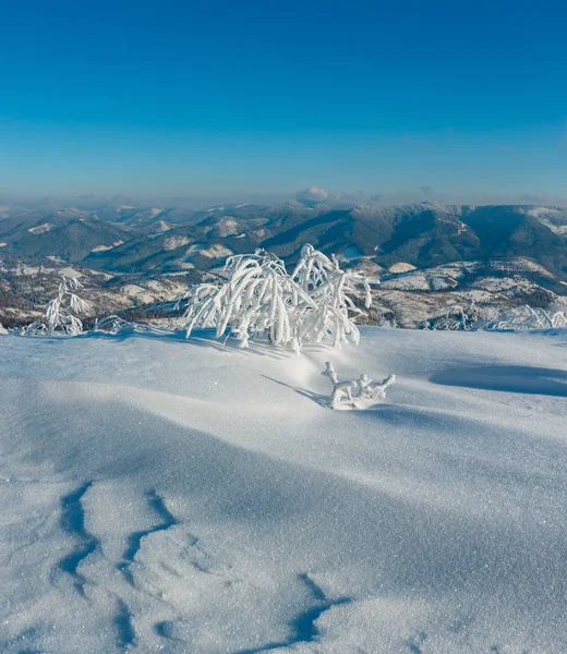 早晨冬天平静的山风景与美丽的结霜树和雪堆在倾斜 乌克兰 — 图库照片