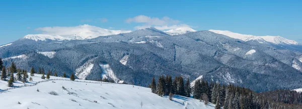 美しい雪の冬 Skupova 山の斜面と高原農場 カルパチア ウクライナ Verkhovyna 地区で唯一の農家 Chornohora 海嶺と雲の背後にあるピップ イワン山の頂上 — ストック写真