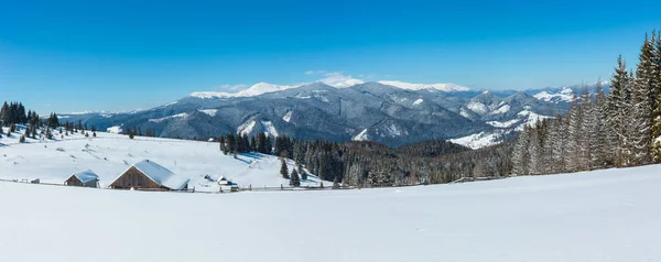 Pittoreske Besneeuwde Winter Skupova Berghelling Lone Boerderij Plateau Hoeve Karpaten — Stockfoto