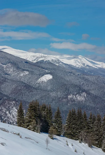 Vista Pitoresca Montanha Inverno Skupova Encosta Montanha Ucrânia Vista Para — Fotografia de Stock