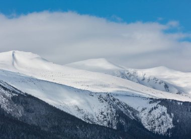 Sahne pitoresk alp dağ sırtı (Ukrayna, Karpat Dağları, Chornohora aralığı, Dzembronya Köyü ilçe sınırı hills huzur huzurlu görünümünden sabah kış kar kaplı).