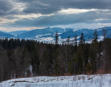 Akşam kış karla kaplı alp dağ sırtı ve güneş ışınlarından bulutlu bulutlu gökyüzü (Ukrayna, Karpat Dağları, Svydovets aralığı).