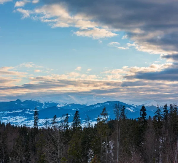 冬季阴天在最后柔和的阳光下被白雪覆盖的高山山脊 乌克兰 喀尔巴泰山脉 斯维多韦山脉 — 图库照片
