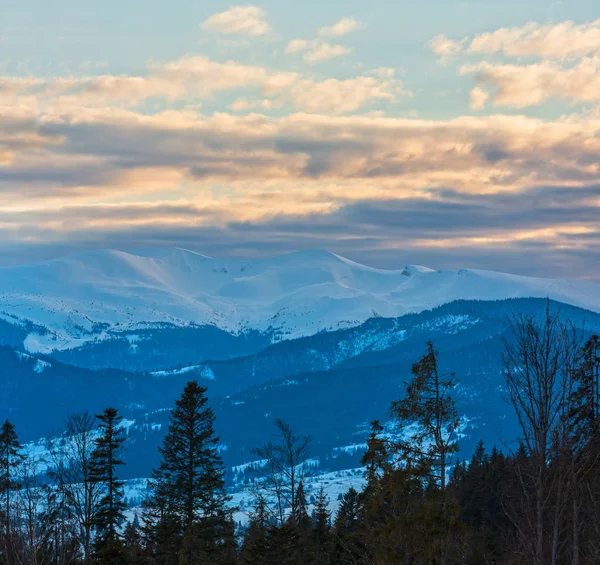 Tarde Invierno Nublado Día Nevado Alp Montaña Cresta Última Luz —  Fotos de Stock