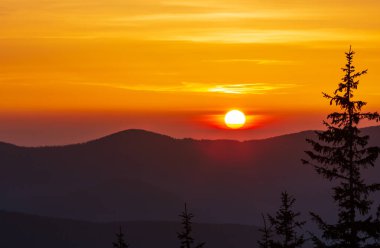 Renkli gündoğumu manzara bahar Karpat Dağları, Ukrayna, Europe.