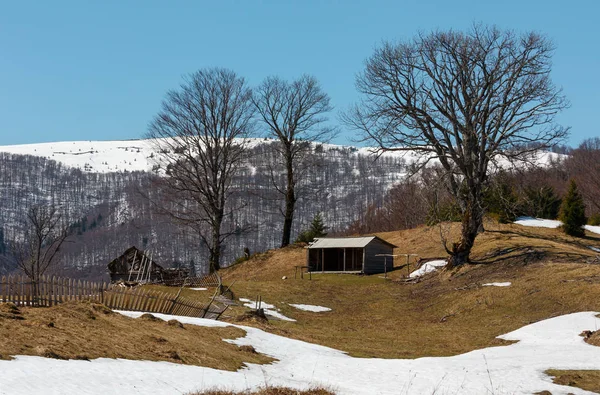 Primavera Temprana Montañas Los Cárpatos Paisaje Meseta Con Cumbres Cubiertas —  Fotos de Stock