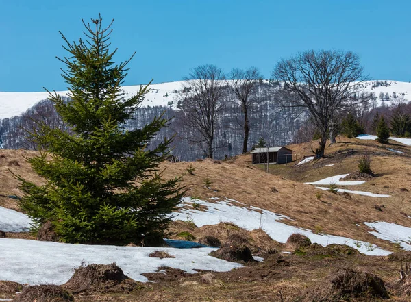 早春天喀尔巴阡山脉高原景观与积雪覆盖脊顶 乌克兰 — 图库照片
